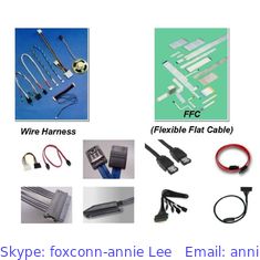 China Foxconn LCD Cable Assembly,  LCD cables WDLW0P9-QH001-1H  for Notebook supplier